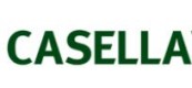 英國(guó)CASELLA