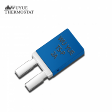 WUYUE 車(chē)窗電機(jī)保護(hù)器TS-P系列