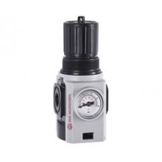 Thompson Valves 反向流量調節器G1/4系列