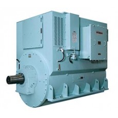 HYUNDAI ELECTRIC 水冷高壓同步發電機系列