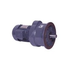 CPG 立式附三相鑄鐵(剎車(chē))馬達(dá)重型減速機(jī)CVW..S系列