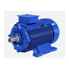 MarelliMotori 電動(dòng)機(jī)A5M B5M系列