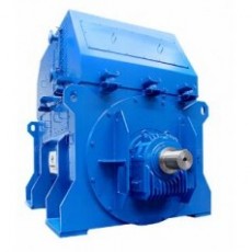 MarelliMotori 發(fā)電機MJRM系列