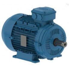 watt drive 鋁 TEFC電機W21系列