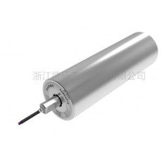 Damon 皮帶輸送機(jī)用電動(dòng)輥筒系列