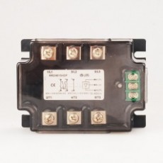 LDG 聯鎖式電機正反轉控制模塊RR2I4015系列