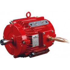 ATB MOTORS 煙氣發(fā)動機(jī)系列