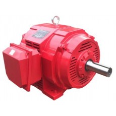 TECHTOP 鑄鐵外殼ODP電機(jī)（IP23）系列