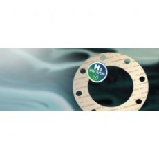 James Walker 墊片Fluolion 800系列