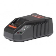 TRIDON 更換電池充電器 220V-AC系列