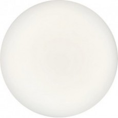 SYLVANIA 壁掛式或吸頂式LED燈具SylCirle