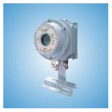 CNPC-Ex 智能防爆溫度控制器CN810-II系列