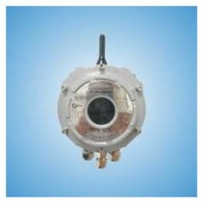 CNPC-Ex 無線防爆控制器CN800-4G系列