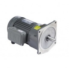 T.W.T 小型齒輪減速馬達PHSV系列