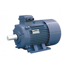 FUXING 三相異步電動機Y2 系列