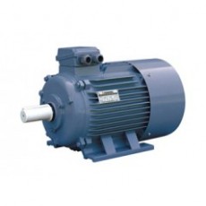 FUXING 三相異步電動機Y2 系列