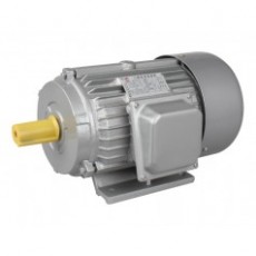 FUXING 三相異步電動機Y 系列