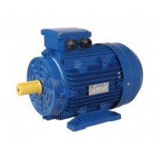 FUXING 三相鋁殼電動(dòng)機(jī)MS系列