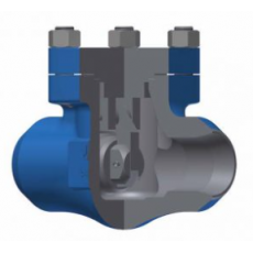 Termovent SC 鍛造旋啟式止回閥 [CAPS]系列