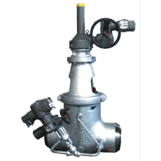 RAC BONETTI 帶齒輪操作和旁通的閘閥系列