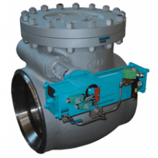 RAC BONETTI 帶氣動執(zhí)行器的可旋轉(zhuǎn)測試止回閥系列