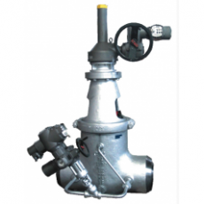 RAC BONETTI 帶齒輪操作和旁通的閘閥系列