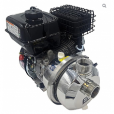 PACER 金屬飲用水輸送泵IPW2WL E5.5系列