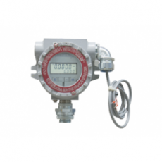 FLOWMETRICS 字段指示器915-BATRT-M系列