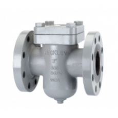 KECKLEY 碳鋼單工籃式過濾器系列