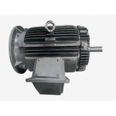 GW INDUSTRY 永磁同步電機YTX系列