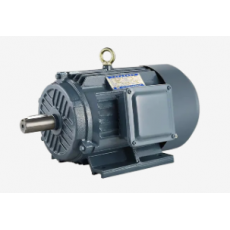 GW INDUSTRY **三相異步電動(dòng)機(jī)YJE4系列