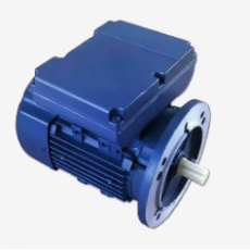 GW INDUSTRY 單相雙值電容異步電動機(jī)YLJ系列