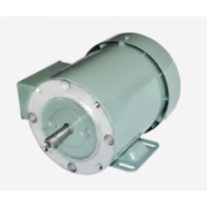 GW INDUSTRY 三相電機-TEFC-56C 帶腳系列