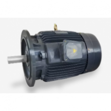 GW INDUSTRY 三相異步電動機CNS系列