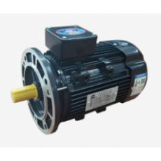 GW INDUSTRY 壓鑄鋁機殼三相異步電動機IE4系列