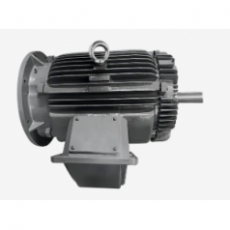 GW INDUSTRY 永磁同步電機YTX系列