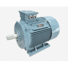 GW INDUSTRY 船用三相異步電動機Y-H系列