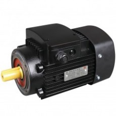 ABLE 三相異步電動機MS系列