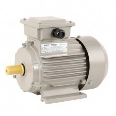 ABLE 三相異步電動機Y2HE鑄鐵系列