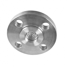 Budenberg 隔膜密封壓力表WF系列