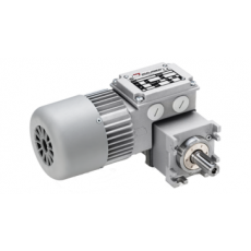 Elektromotorenwerk 蝸輪行星齒輪馬達系列