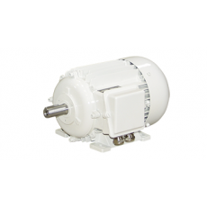 Elektromotorenwerk 標準驅動器 IE4系列