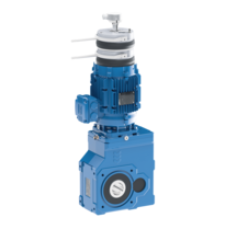 Elektromotorenwerk 特殊減速電機(jī)MAS系列