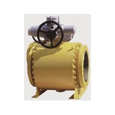 FASANI VALVE 球閥耳軸安裝系列